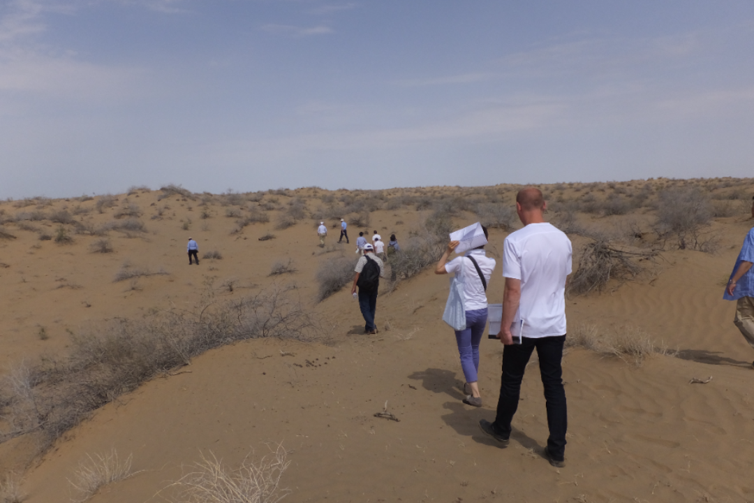 投融資プロセス(ESG投融資を含む)におけるプロジェクト評価に関するコンサルタント